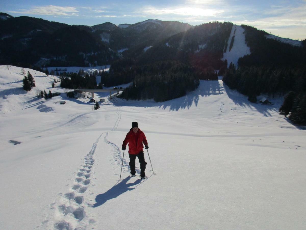 Almgasthaus Seebergalm Turnau Exteriör bild
