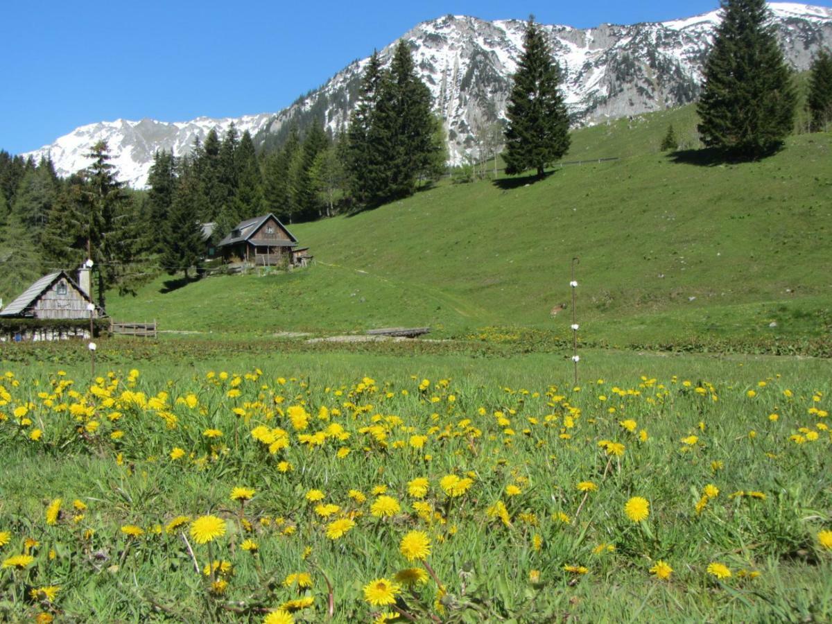 Almgasthaus Seebergalm Turnau Exteriör bild