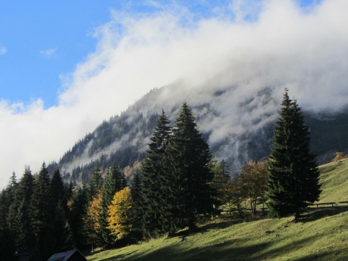 Almgasthaus Seebergalm Turnau Exteriör bild